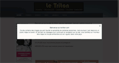 Desktop Screenshot of le-triton.com